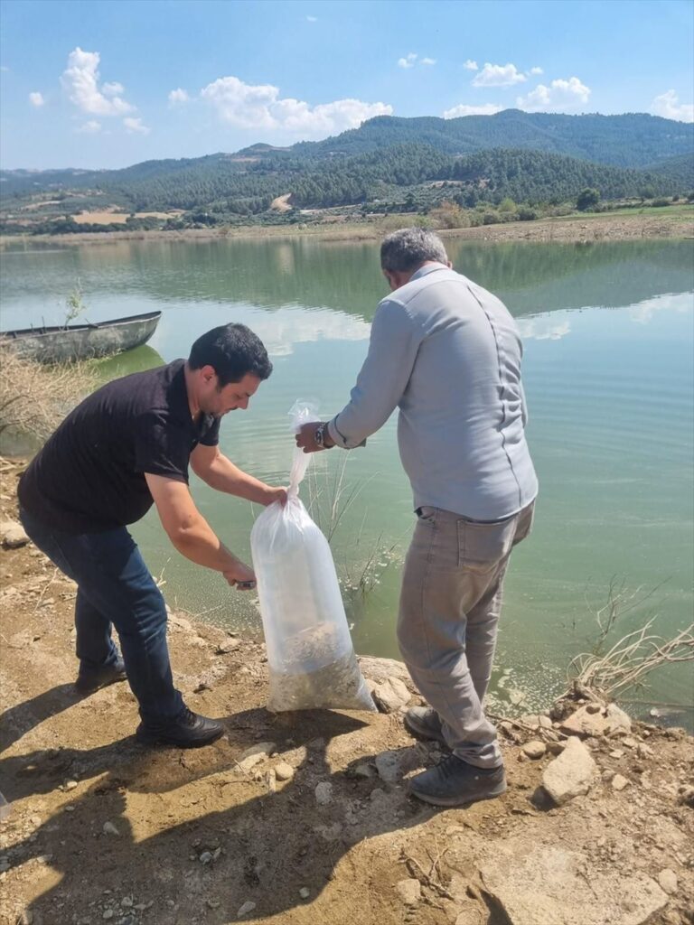 Bodrum’a 2 Kruvaziyer Gemisi Ziyaretçi Getirdi