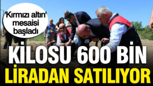 haber-gorseli-1787148422326